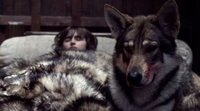 'Juego de Tronos': Muere Verano, el lobo de Bran Stark, de un cáncer
