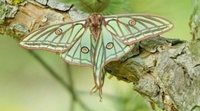 'Natura Bizia': Sintiendo la fuerza de la biodiversidad
