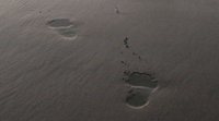 'Urtzen': El mar y el gigante protector