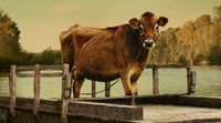'First Cow': Amistad en una tierra inhóspita