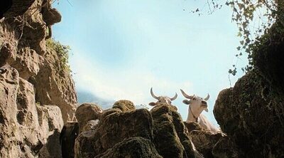 'Il buco': Viaje a lo más profundo de la meseta