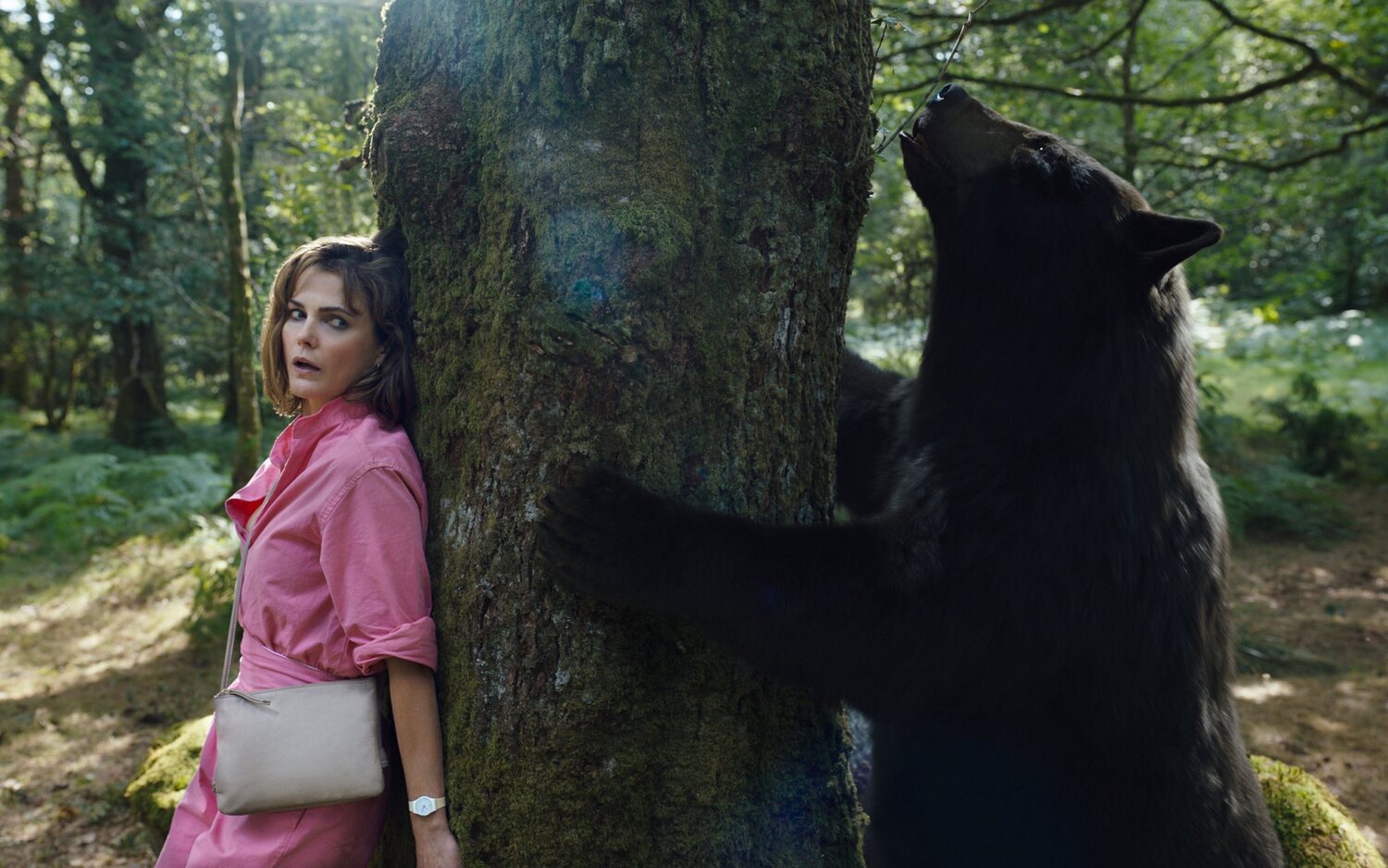 'Oso vicioso': Las primeras críticas de la película sobre el oso adicto a la cocaína prometen "la mejor comedia de 2023"