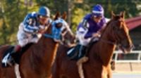 'Campeón (Secretariat)', drama de manual