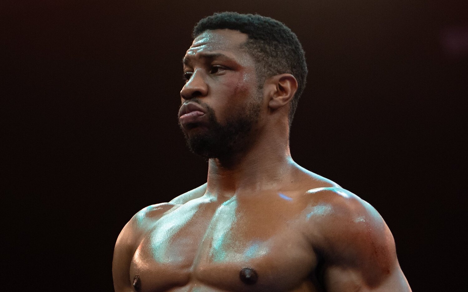 La carrera de Jonathan Majors se vio afectada por su condena por agresión
