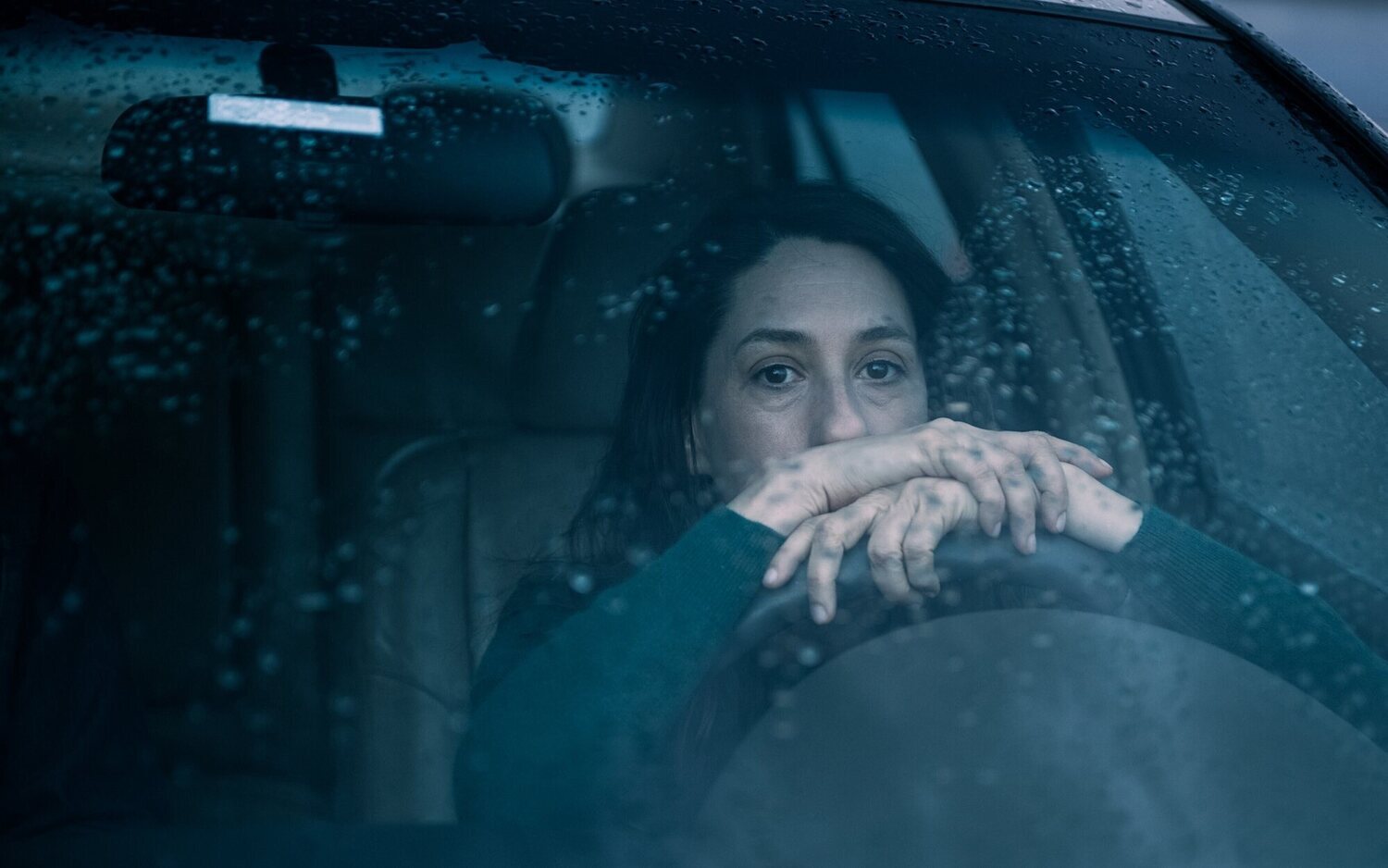 Maricel Álvarez protagoniza 'La llegada del hijo'