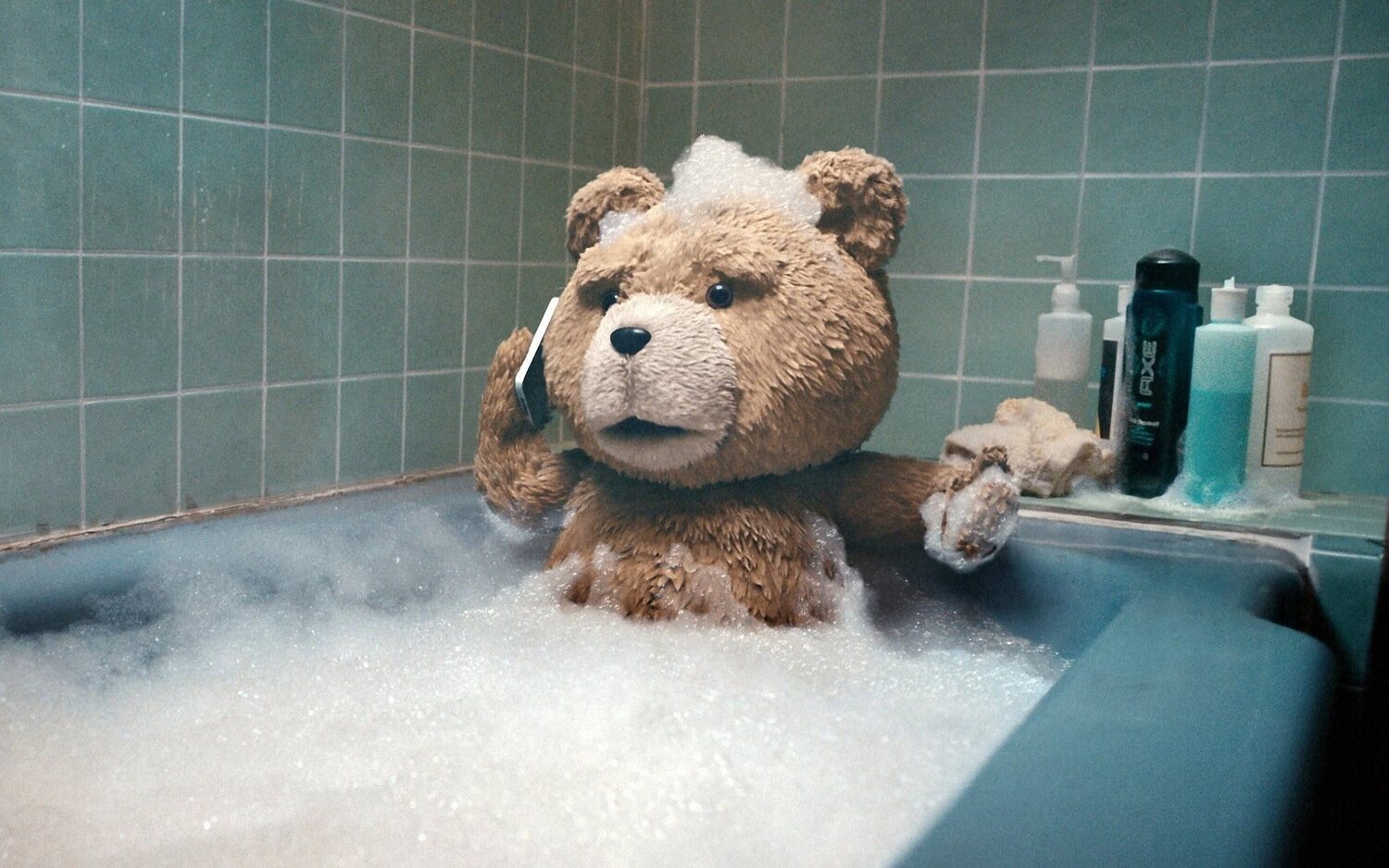 'Ted'