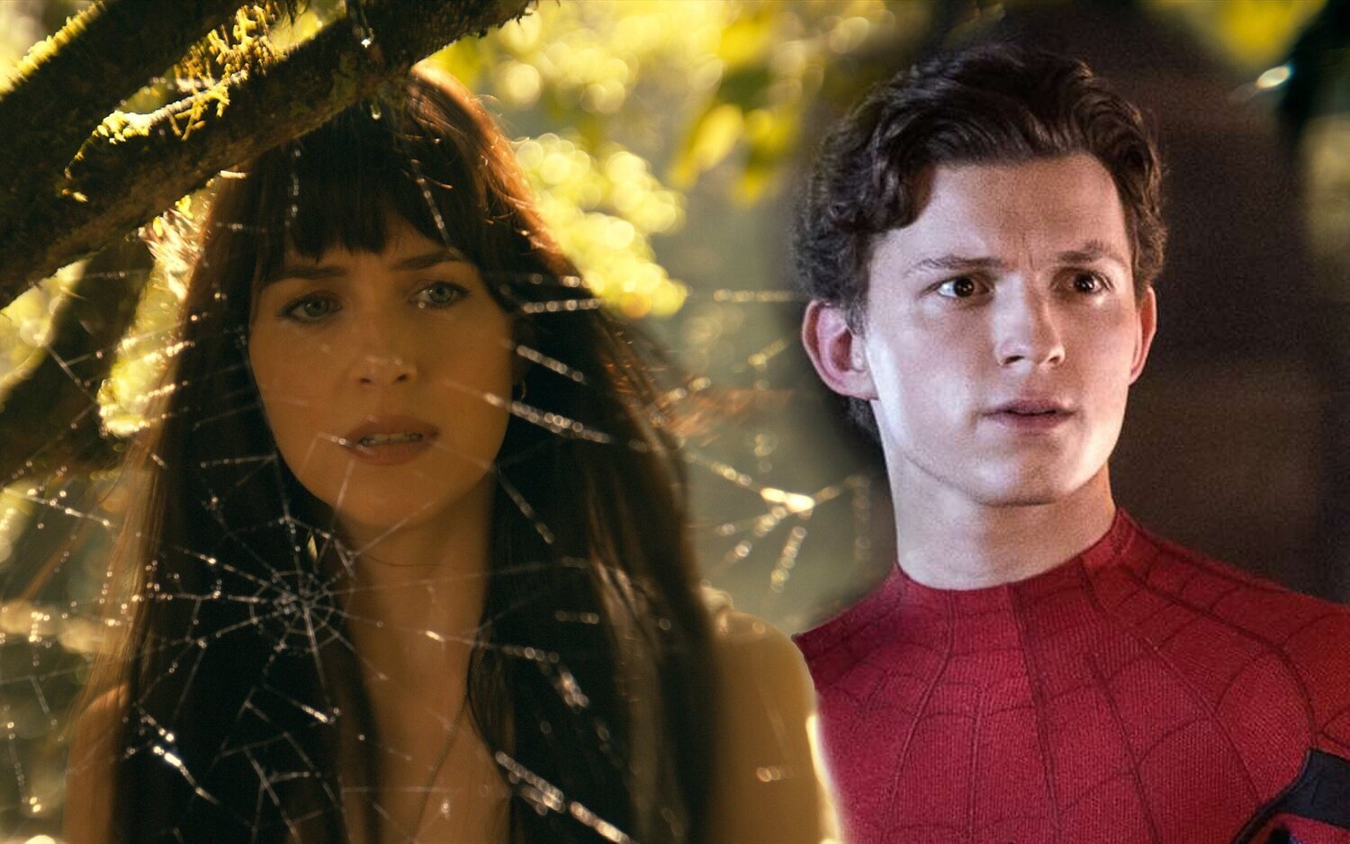 Tom Holland iba a aparecer en 'Madame Web'