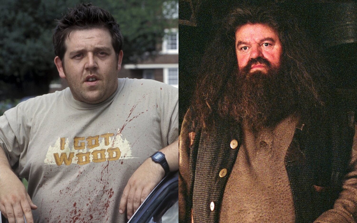 Nick Frost sigue a Robbie Coltraine Hagrid y será Hagrid