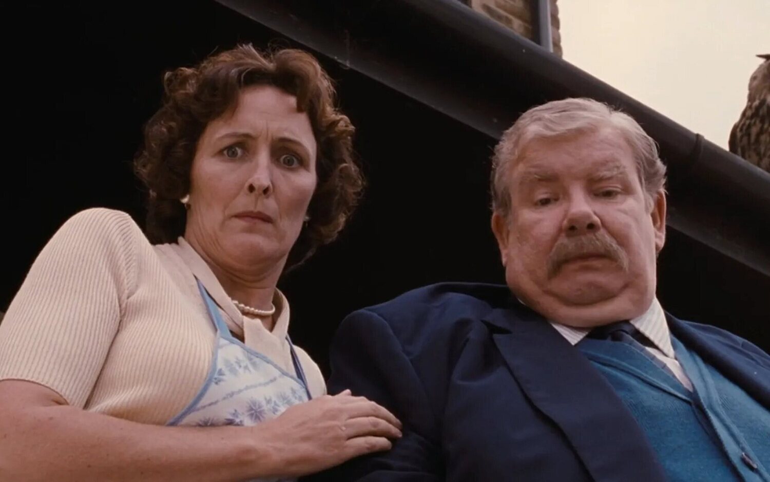 Petunia y Vernon Dursley en la saga de películas de 'Harry Potter'
