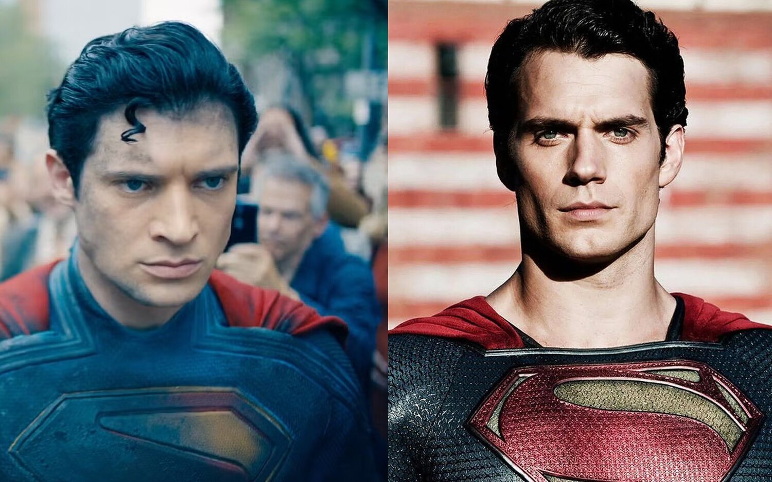 Gunn Vs Snyder