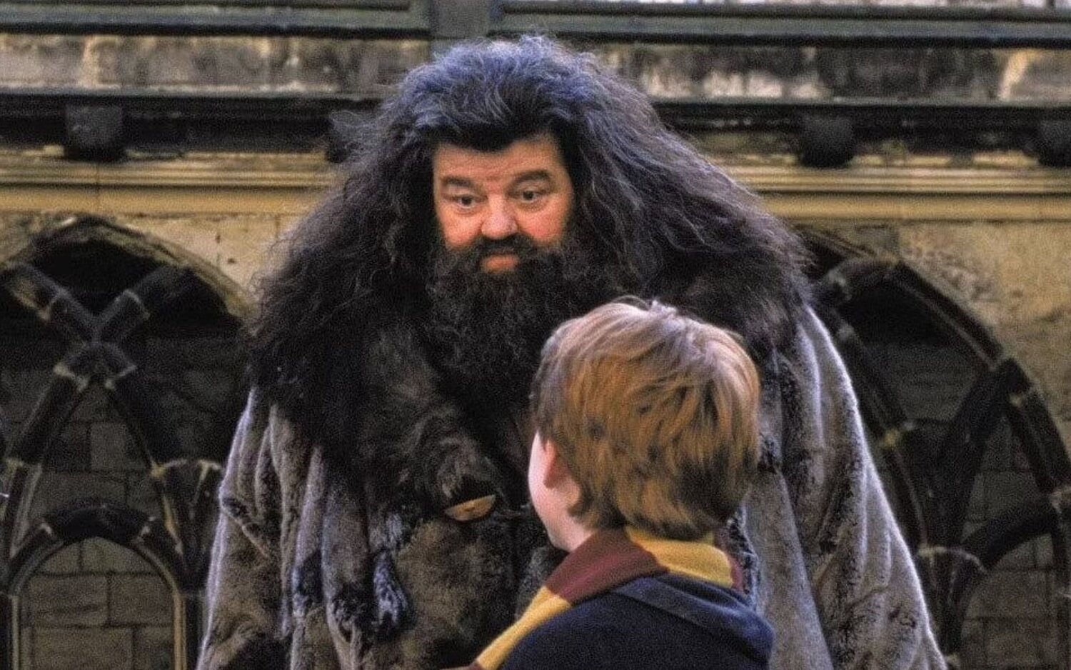 Robbie Coltrane ya tiene sustituto