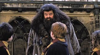 Primera imagen de Nick Frost como Hagrid en la serie de 'Harry Potter'