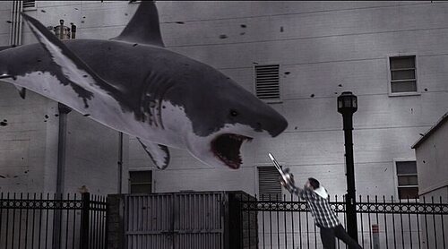 De 'Dangerous Animals' a 'Open Water': Las 10 mejores películas de tiburones del siglo XXI