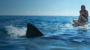 De 'Dangerous Animals' a 'Open Water': Las 10 mejores películas de tiburones del siglo XXI