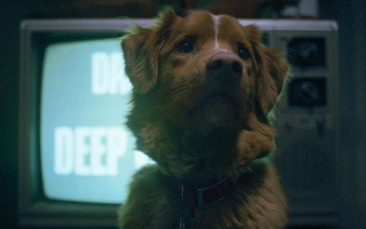 Primer tráiler de 'Good Boy'