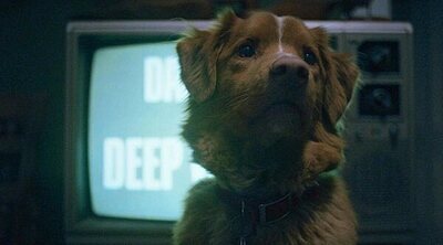 El primer tráiler de 'Good Boy' desata los horrores a través de los ojos de un perro