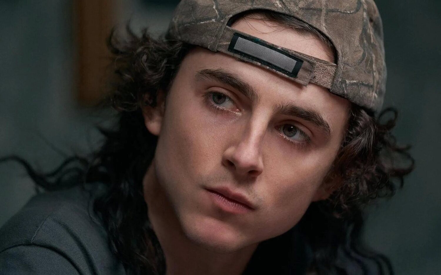 Timothée Chalamet ha cambiado radicalmente de peinado