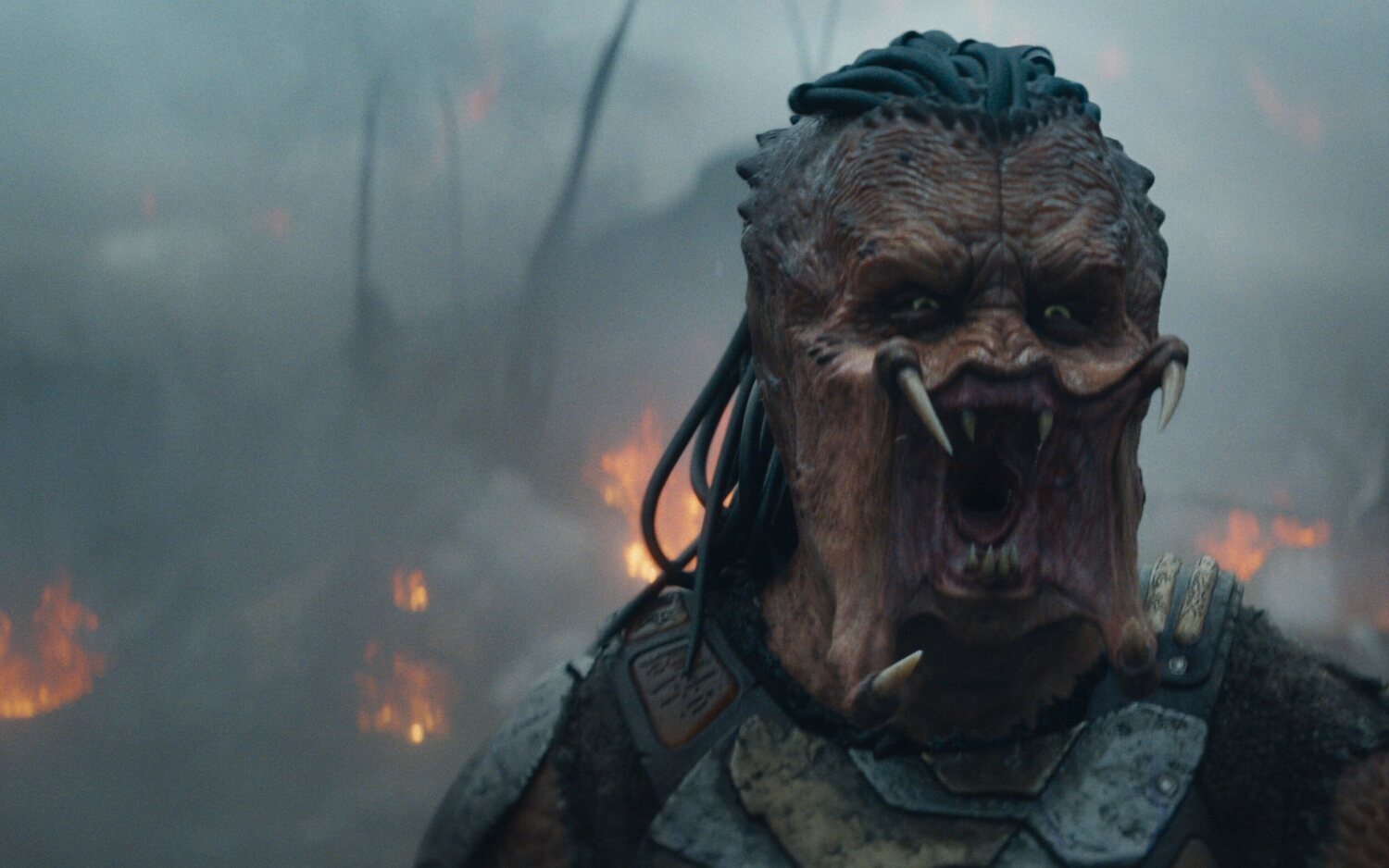 'Predator: Badlands'
