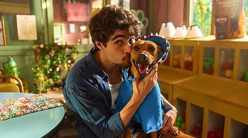 ¿Se basa 'Caramelo', la película del perro que enamora en Netflix, en una historia real?