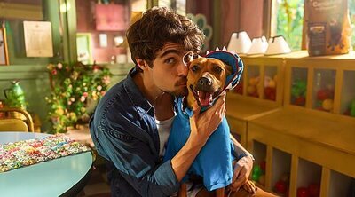 ¿Se basa 'Caramelo', la película del perro que enamora en Netflix, en una historia real?