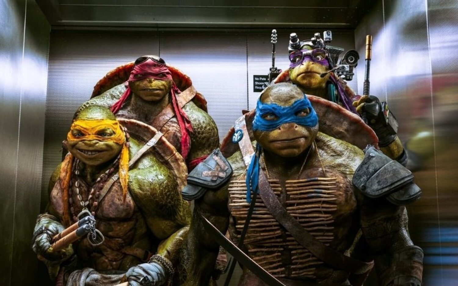 En conversaciones para nuevas películas de acción real de las 'Tortugas Ninja'