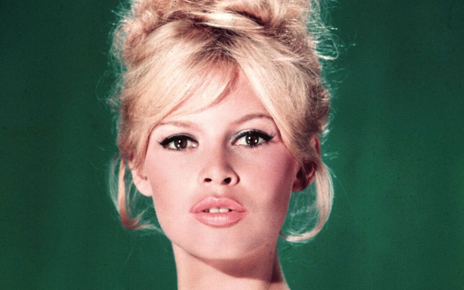 Brigitte Bardot