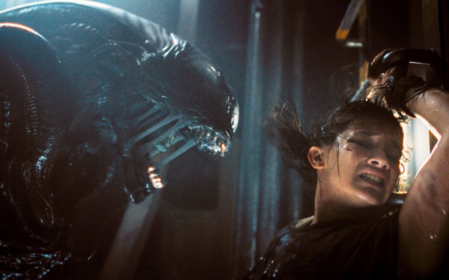 'Alien: Romulus'