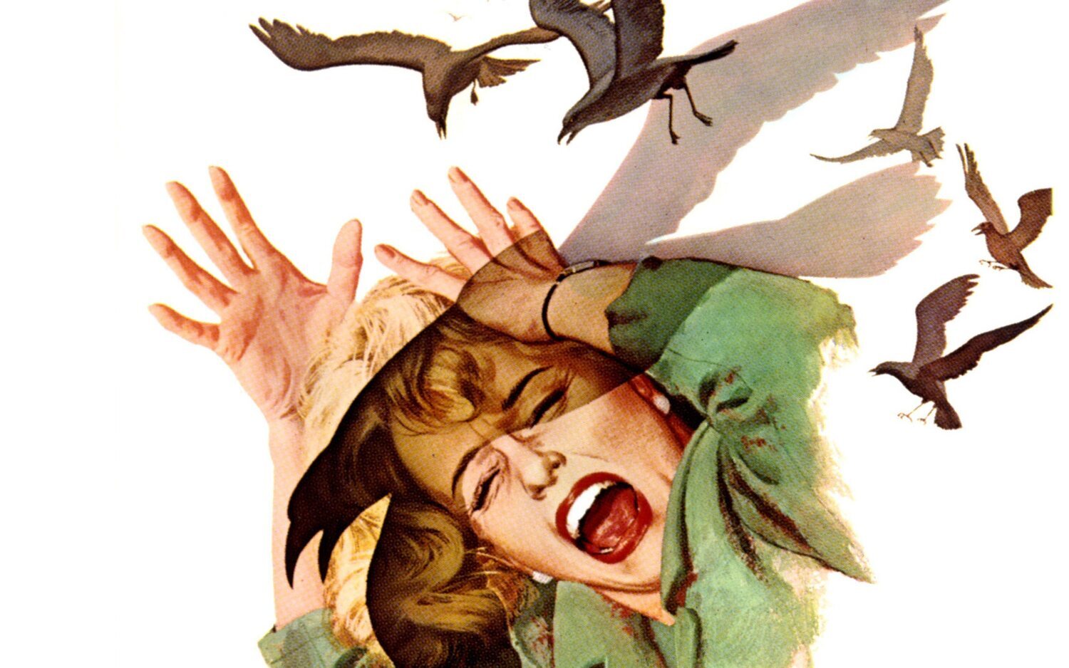 El clásico thriller 'Los pájaros' volverá sesenta años después de la mano de nuevas mentes creativas