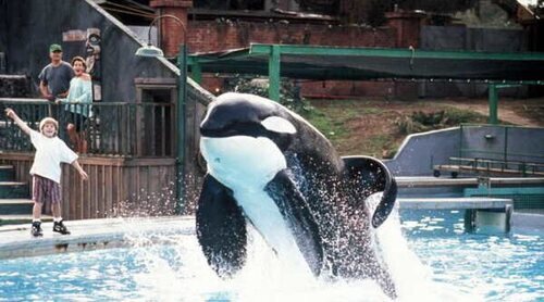 El reboot de 'Liberad a Willy' está en marcha en manos de los hermanos Russo
