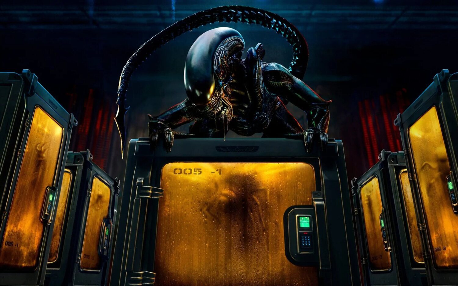 Los xenomorfos y sus extraños aliados aterrorizarán en una nueva temporada a nuevos miembros del reparto de 'Alien: Planeta Tierra'