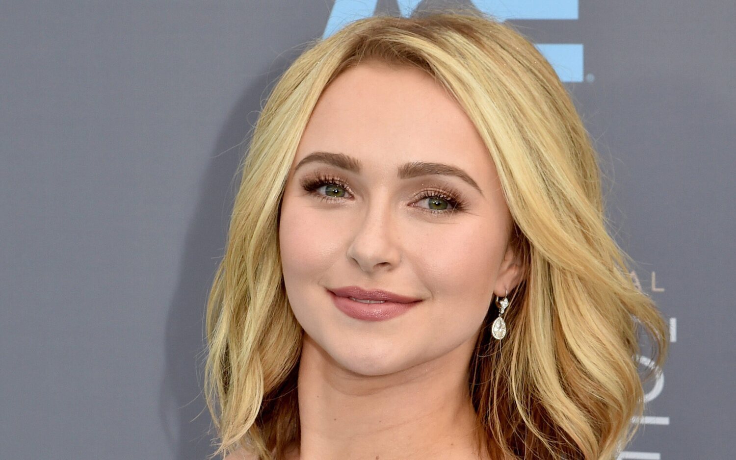 La actriz Hayden Panettiere