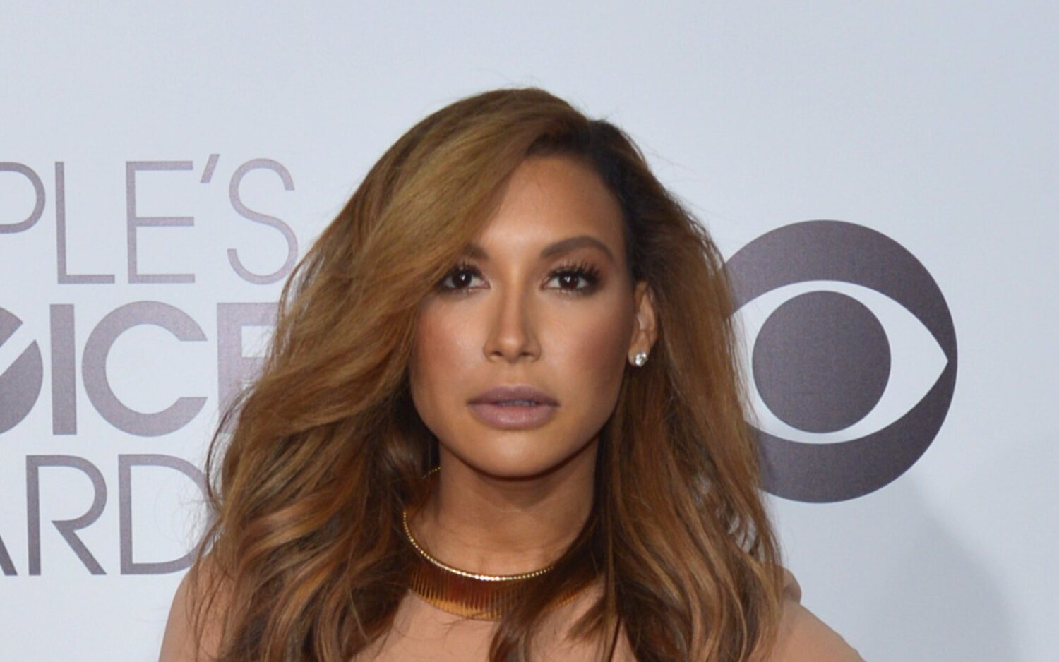 El legado de la actriz Naya Rivera sigue viviendo a través de su familia