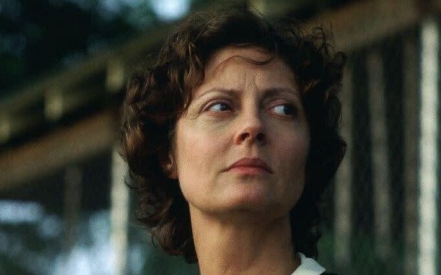 La actriz Susan Sarandon, ganadora de un Oscar, habla de los problemas de Hollywood defender Palestina