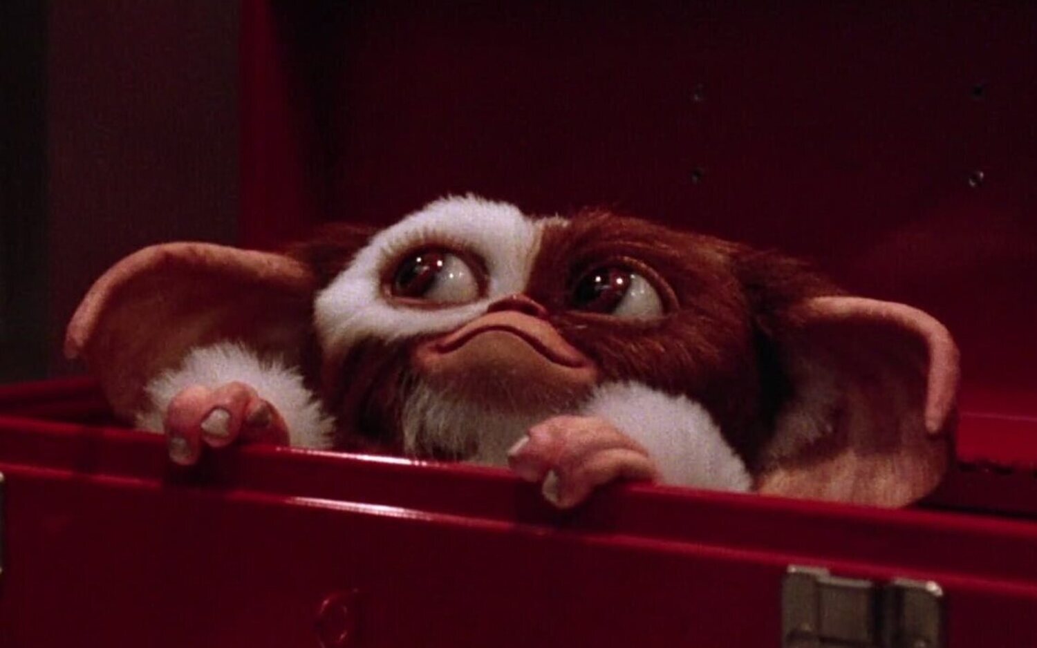 Gizmo se hará de rogar un poco más, pero la espera valdrá la pena