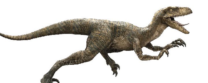 Velociraptor de 'Jurassic World'