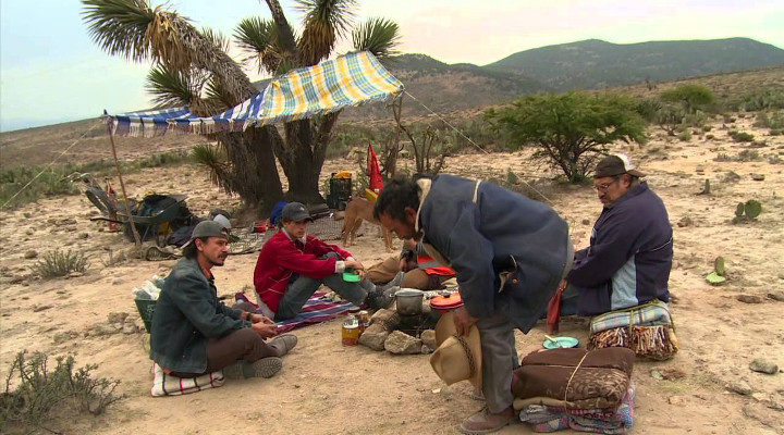 'La delgada línea amarilla'