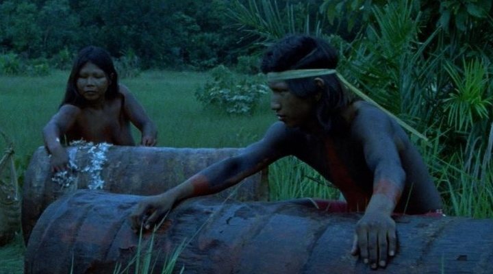  El canto de la selva 2