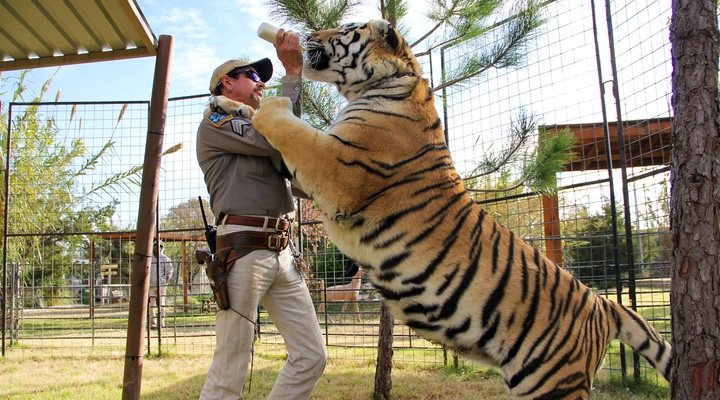 'Tiger King'