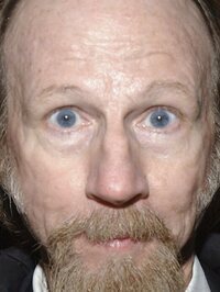 Raynor Scheine