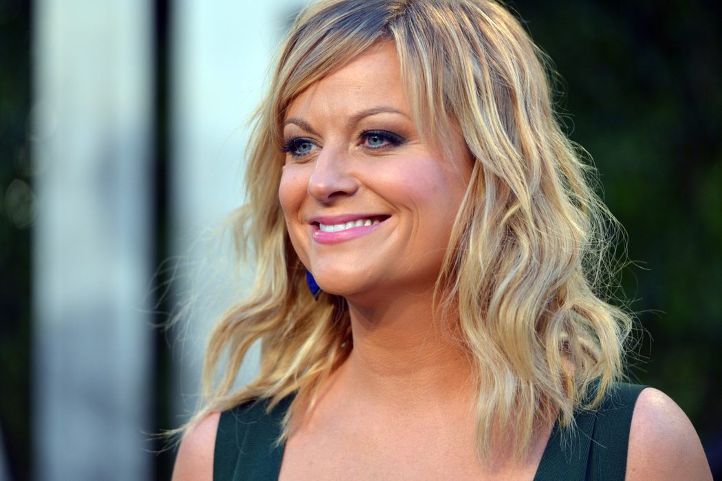 Amy Poehler