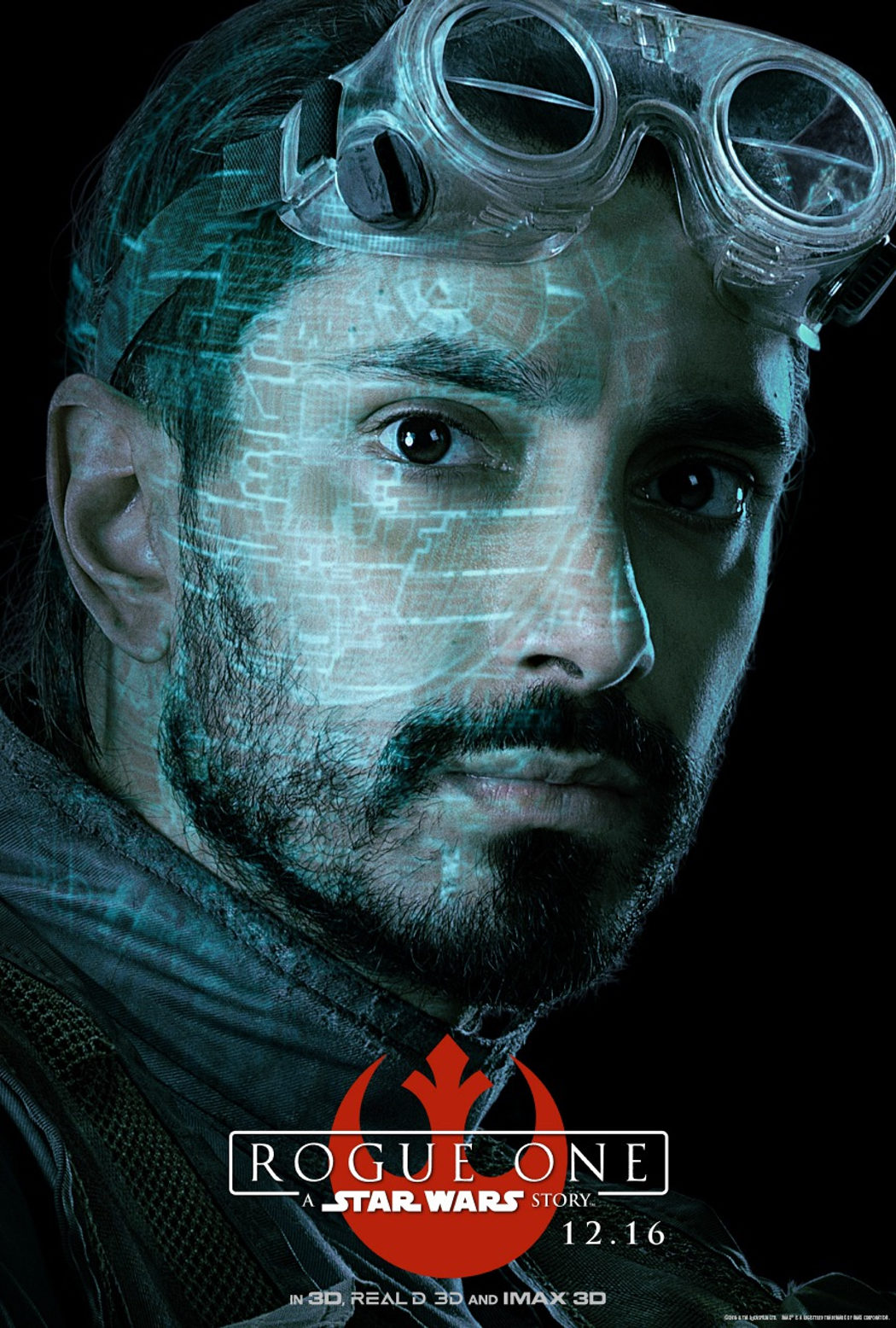 Bodhi Rook