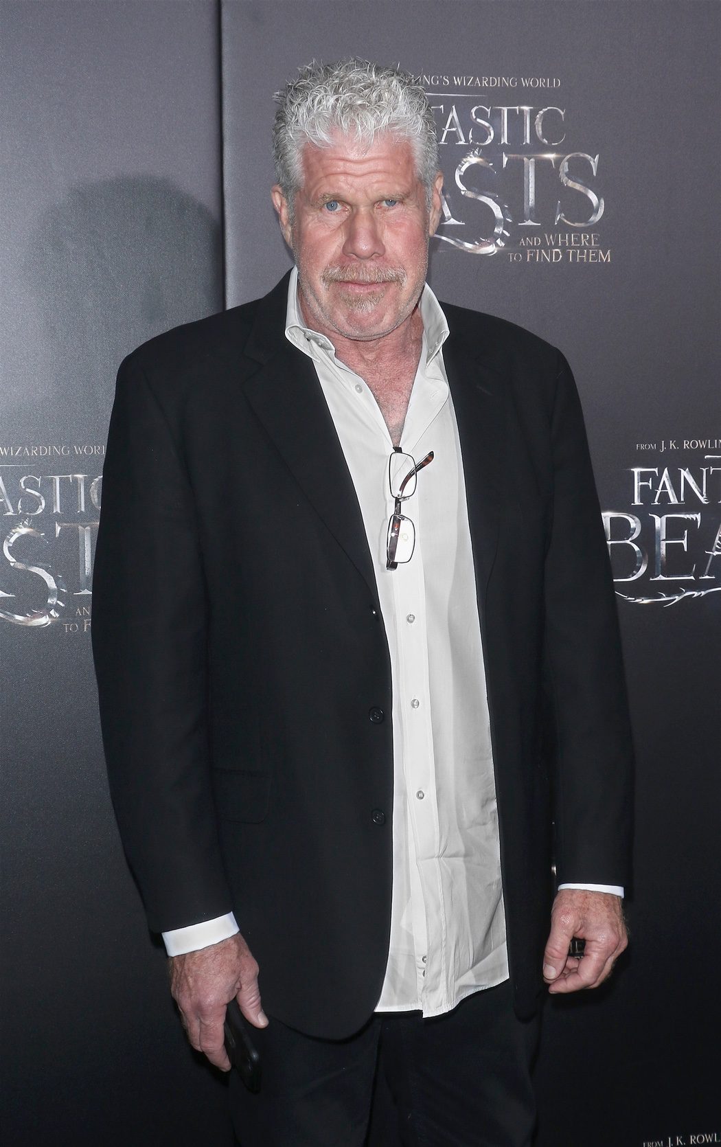 Ron Perlman en la premiere de 'Animales fantásticos y dónde encontrarlos'.