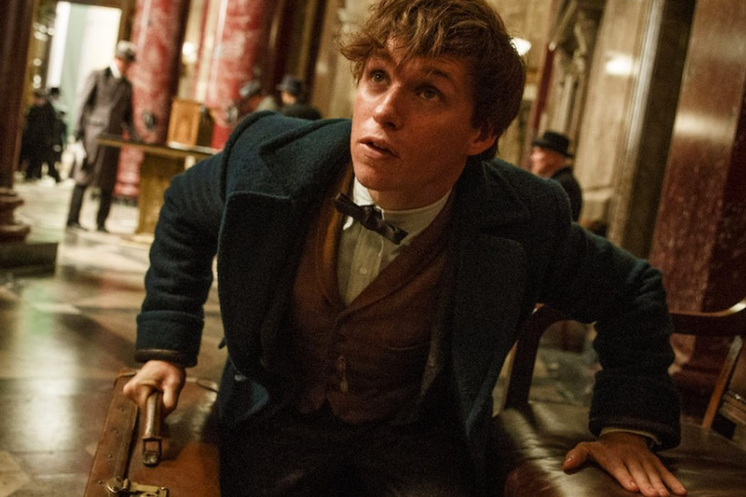 Newt Scamander, ¿un único protagonista?