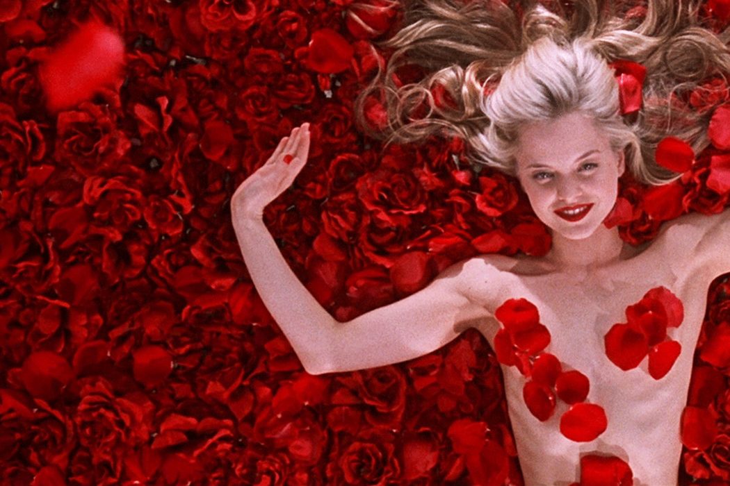 'American beauty'