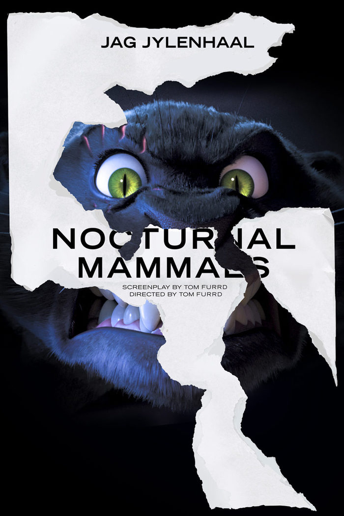 'Mamíferos nocturnos' ('Nocturnal Mammals')