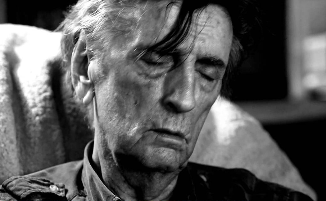 Harry Dean Stanton