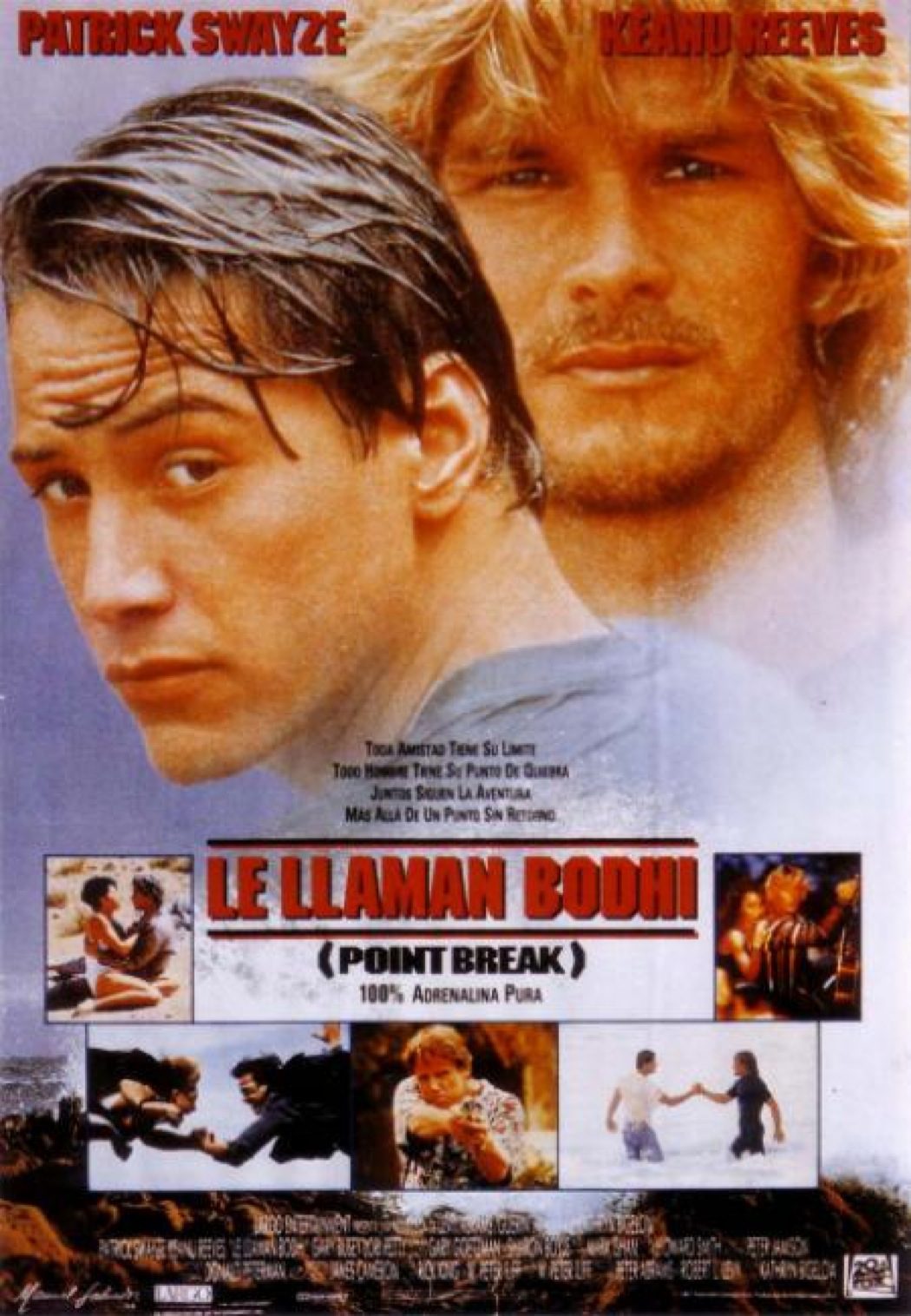 'Le llaman Bodhi'