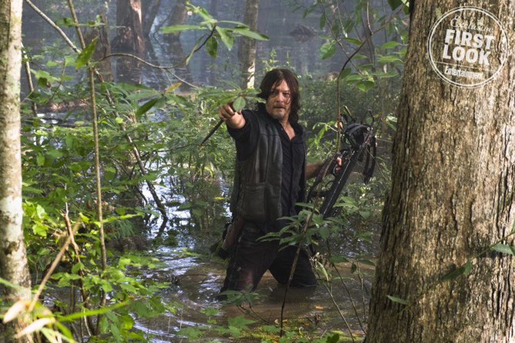 Norman Reedus como Daryl Dixon