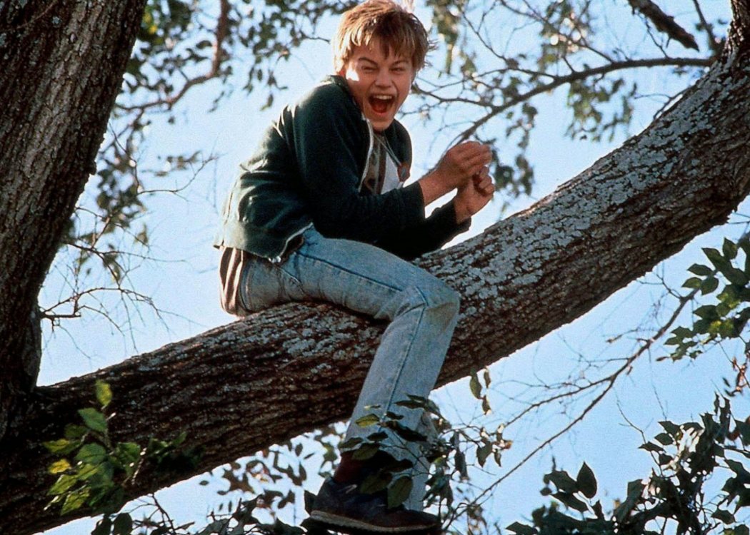 Arnie Grape en '¿A quién ama Gilbert Grape?'