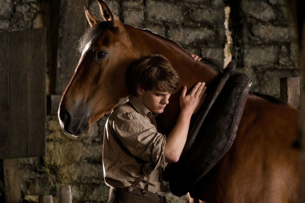 'War Horse'